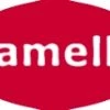 Lamello Outils De Fraisage Lamello 132133 Lames Interchangeables 4 X Lame Interchangeable Et 4 X Précoupeur 1 Lamello Outils De Fraisage Lamello 132133 Lames Interchangeables 4 X Lame Interchangeable Et 4 X Précoupeur -Accessoires de fraisage soldes 132133 lames interchangeables 4 x lame interchangeable et 4 x precoupeur