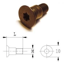 CMT Autres Accessoires De Fraisage 990.A10.00 Boulon Conique Torx Met Zitting M5x10x13